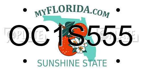 OC1S555 Florida License Plate