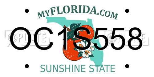OC1S558 Florida License Plate