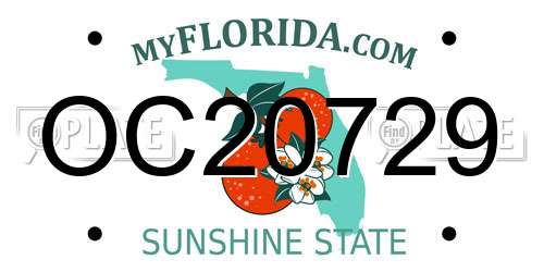 OC20729 Florida License Plate