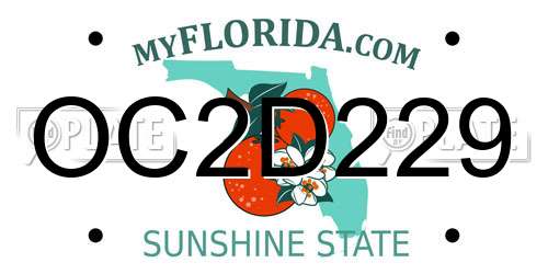 OC2D229 Florida License Plate
