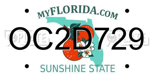 OC2D729 Florida License Plate