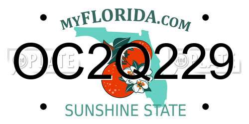OC2Q229 Florida License Plate