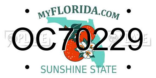 OC70229 Florida License Plate