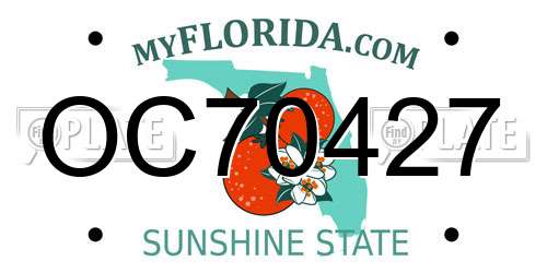 OC70427 Florida License Plate