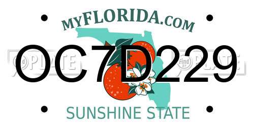 OC7D229 Florida License Plate