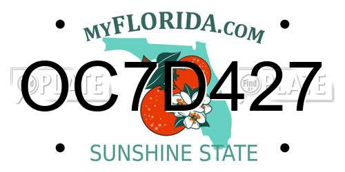 OC7D427 Florida License Plate