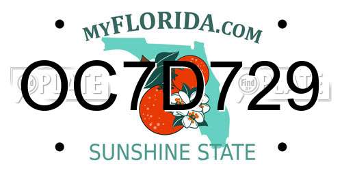 OC7D729 Florida License Plate