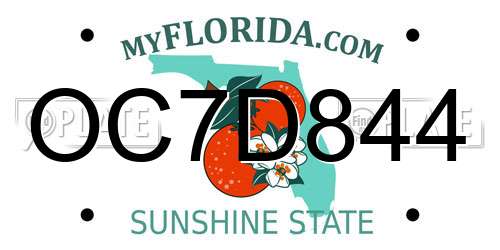 OC7D844 Florida License Plate