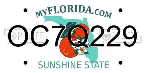 OC7Q229 Florida License Plate