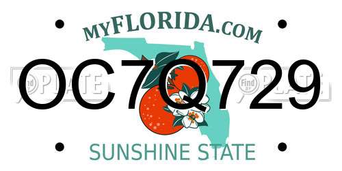OC7Q729 Florida License Plate