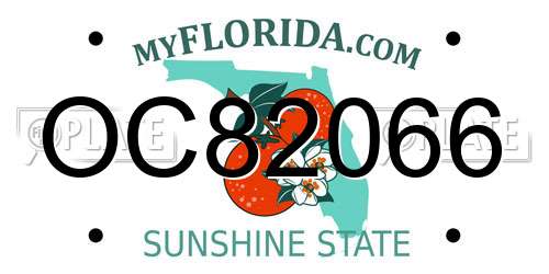 OC82066 Florida License Plate
