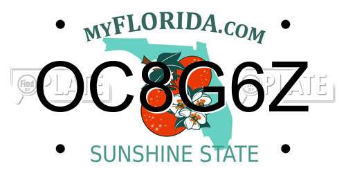 OC8G6Z Florida License Plate