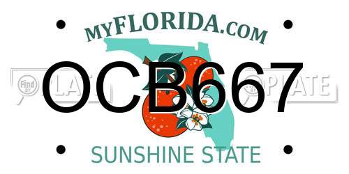 OCB667 Florida License Plate
