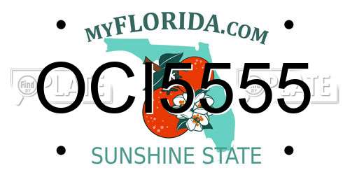 OCI5555 Florida License Plate