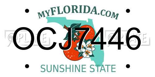 OCJ7446 Florida License Plate