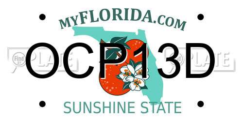OCP13D Florida License Plate