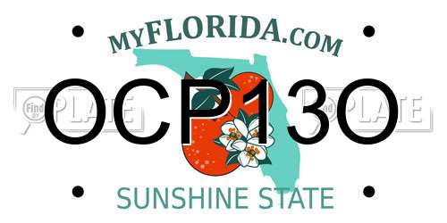 OCP13O Florida License Plate