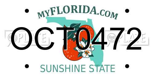 OCT0472 Florida License Plate