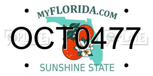 OCT0477 Florida License Plate