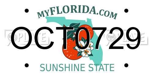 OCT0729 Florida License Plate