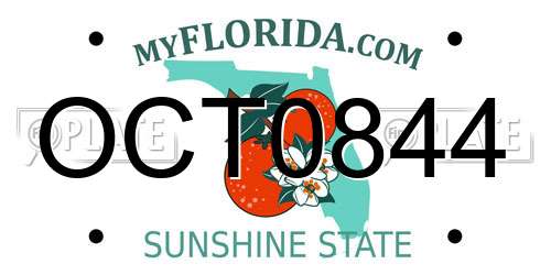 OCT0844 Florida License Plate