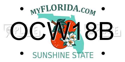 OCW18B Florida License Plate