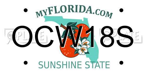 OCW18S Florida License Plate