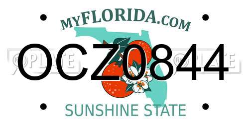 OCZ0844 Florida License Plate