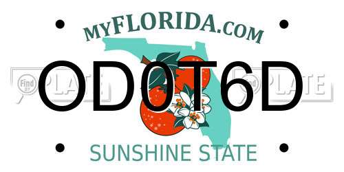 OD0T6D Florida License Plate