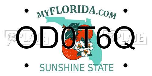 OD0T6Q Florida License Plate