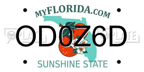 OD0Z6D Florida License Plate