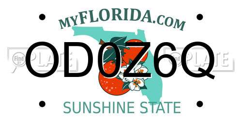 OD0Z6Q Florida License Plate