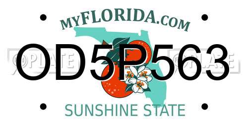OD5P563 Florida License Plate
