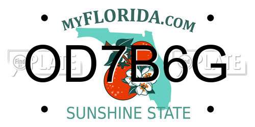 OD7B6G Florida License Plate