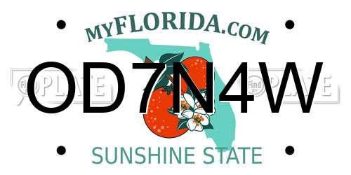OD7N4W Florida License Plate
