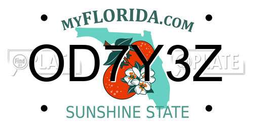 OD7Y3Z Florida License Plate
