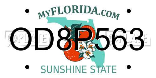 OD8P563 Florida License Plate