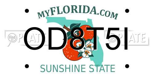 OD8T5I Florida License Plate