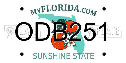 ODB251 Florida License Plate