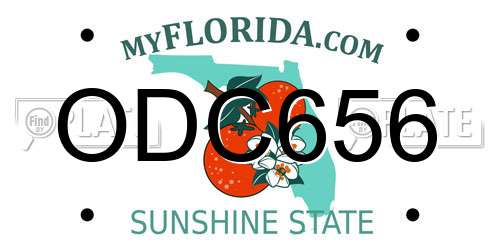 ODC656 Florida License Plate