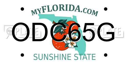 ODC65G Florida License Plate