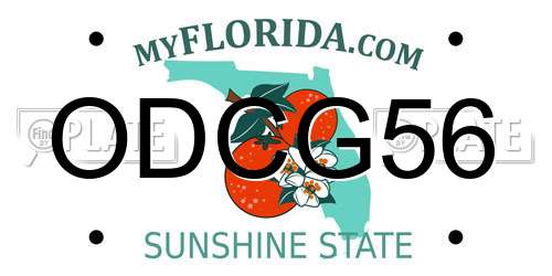 ODCG56 Florida License Plate