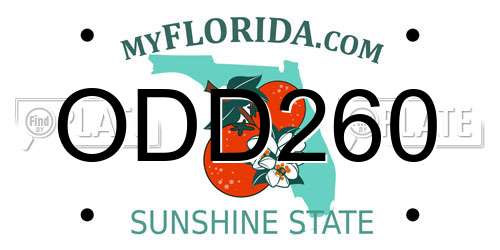 ODD260 Florida License Plate