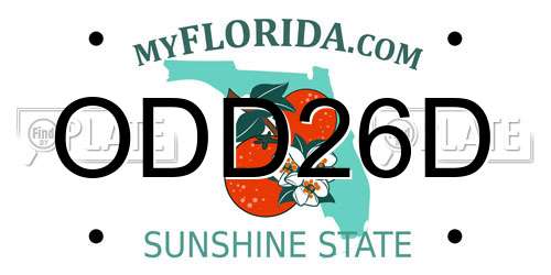 ODD26D Florida License Plate