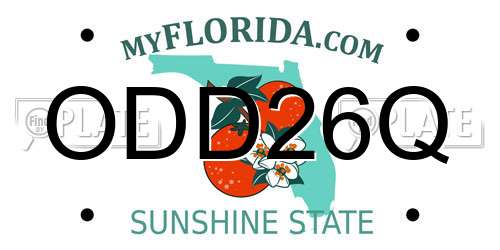 ODD26Q Florida License Plate
