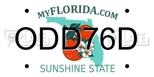 ODD76D Florida License Plate