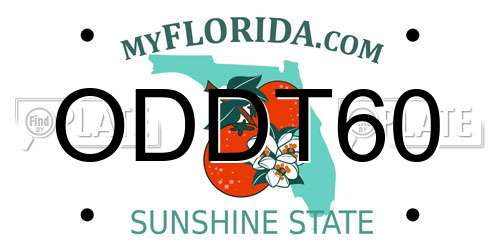 ODDT60 Florida License Plate