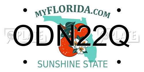 ODN22Q Florida License Plate