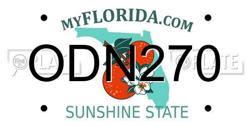 ODN270 Florida License Plate