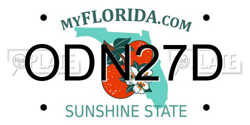 ODN27D Florida License Plate
